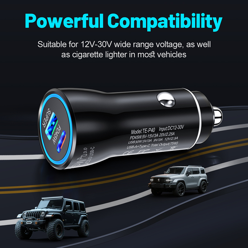 Caricabatterie da Auto USB C a - Usb C Power Adapter recensione e prezzo
