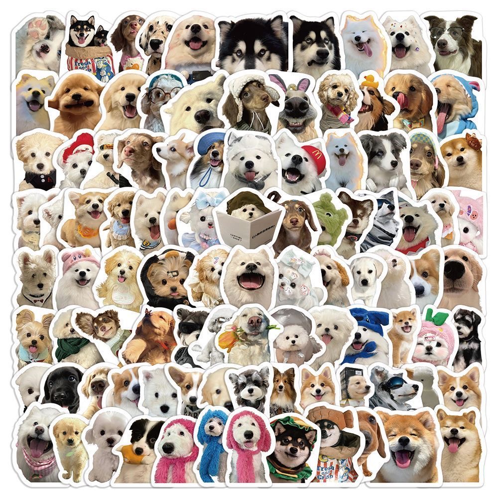 102 Pezzi Adesivi Realistici d - Laptop Accessories Cute recensione e prezzo
